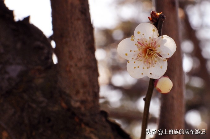 南通狼山一日游详细攻略图,夏天南通狼山一日游详细攻略