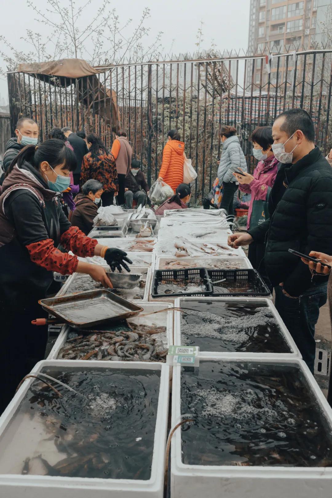 沙河边的野生菜市，是成都嬢嬢的狂欢现场