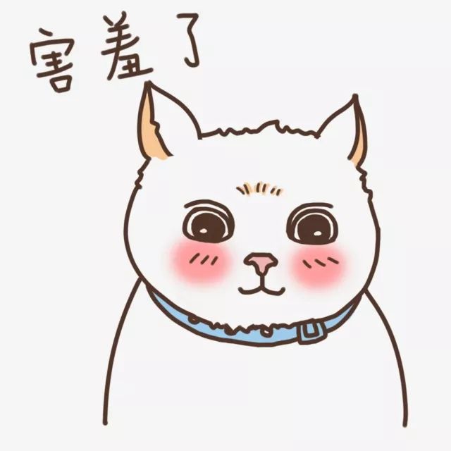 成都双流国际机场飞机事件,最近双流区发生了什么大事