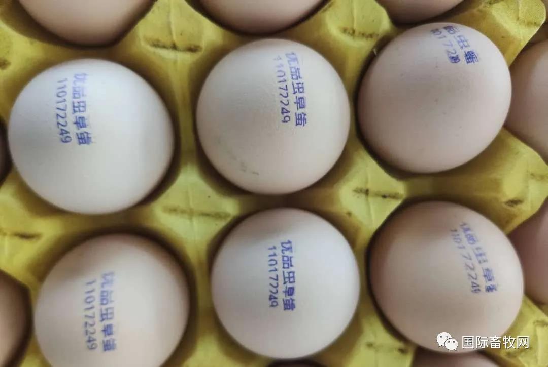 鍏虫敞椋熷搧瀹夊叏淇濋殰澶т紬鍋ュ悍,鍏虫敞椋熷搧瀹夊叏鍏虫敞鍋ュ悍鐢熸椿