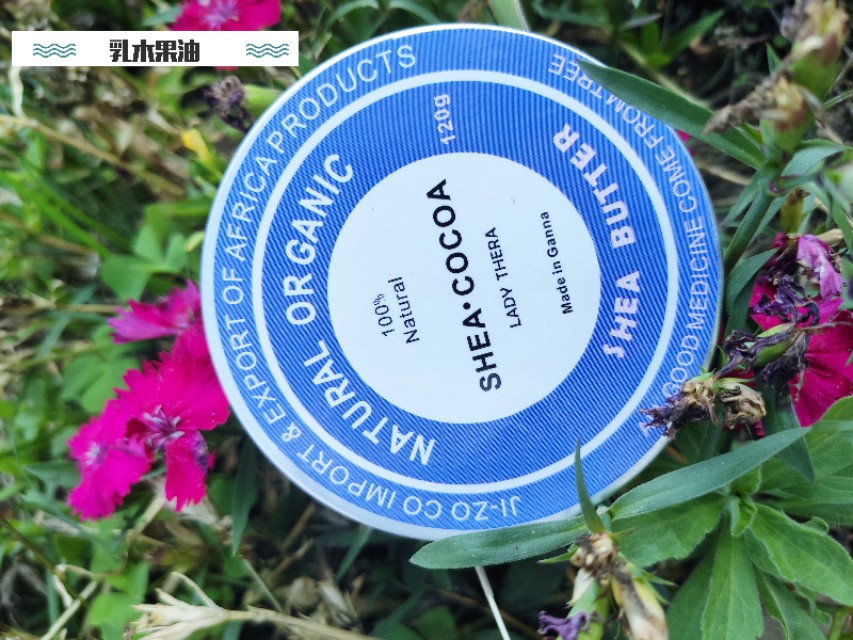 什么时候买油啊最便宜,乳木果油几年可以用