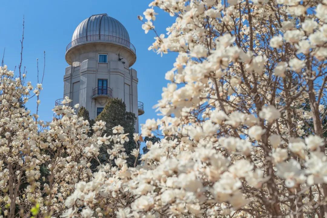 九大美院校园风景,中国九大美院校园风采