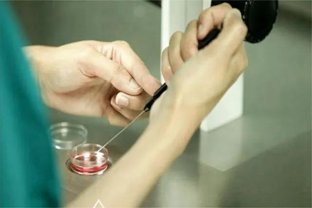 中国第一名试管婴儿现状,中国前几例试管婴儿目前情况