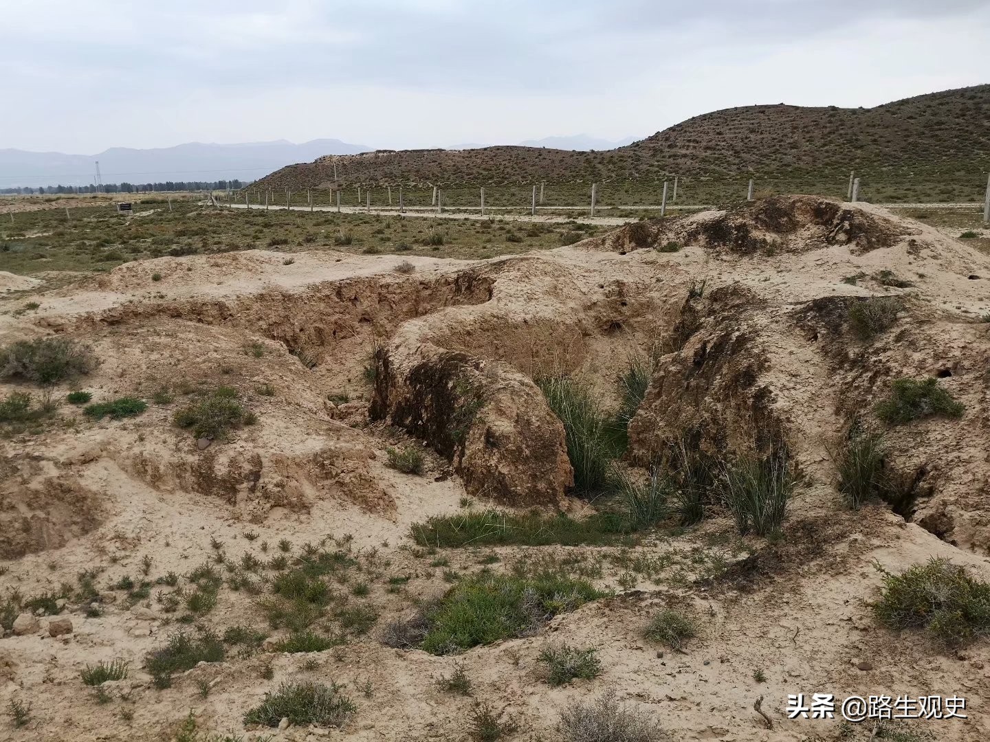 培黎学校是干什么的,培黎学校怎样