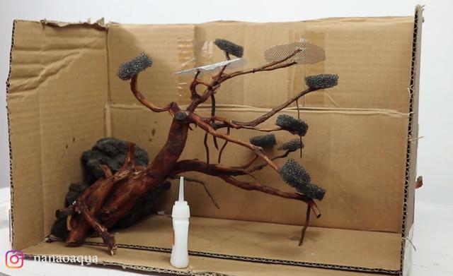 莫斯树到底好不好,莫斯树是什么