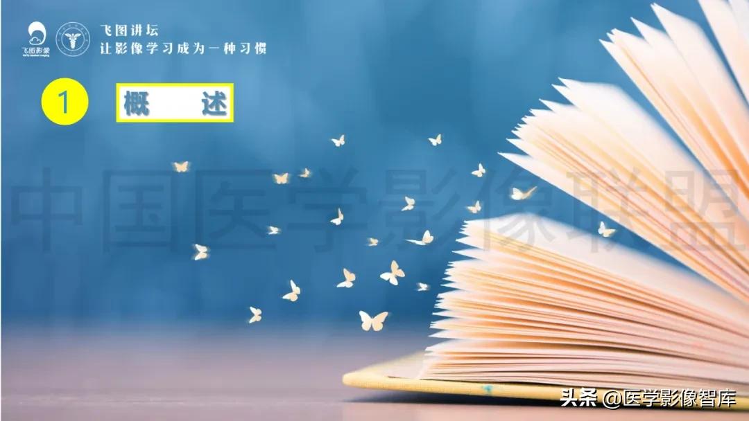 子宫解剖结构输卵管和卵巢位置,子宫附件ct影像学正常解剖表现