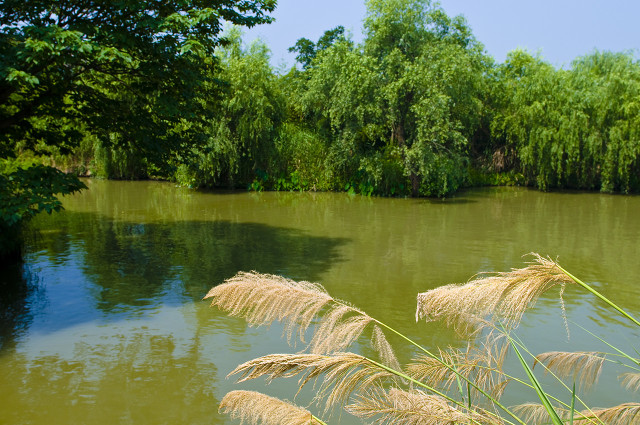 打卡新白娘子传奇杭州取景地,三月杭州打卡景点
