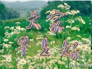 早安祝福语图片大全,早安问候朋友祝福语短句图片