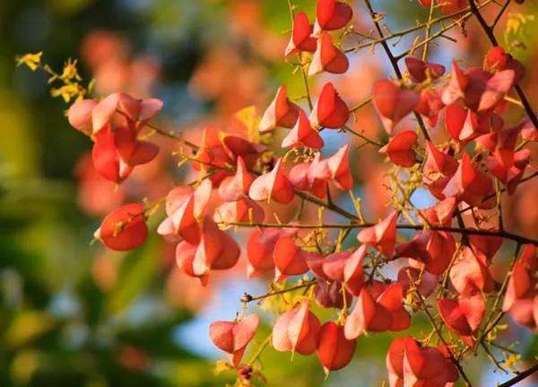 绉嬫棩绗旇鐩存挱,绉嬫棩绗旇