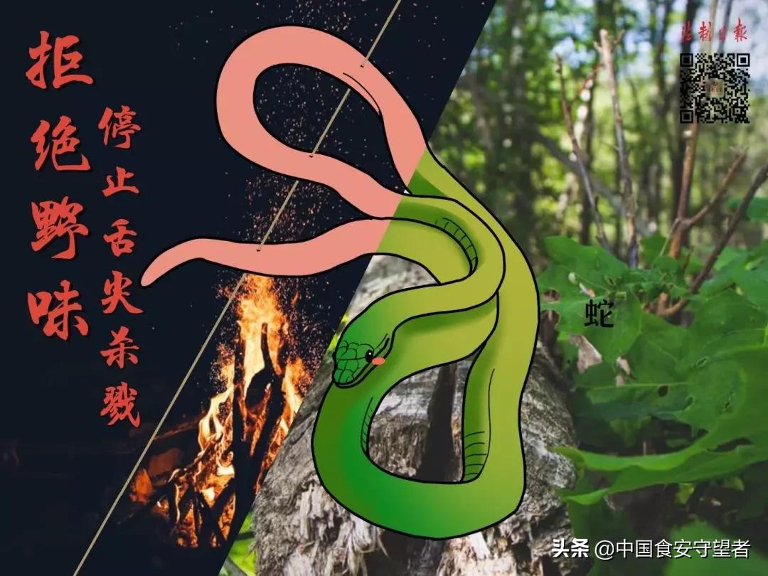 野生动物名录2021,最新三有野生动物名录