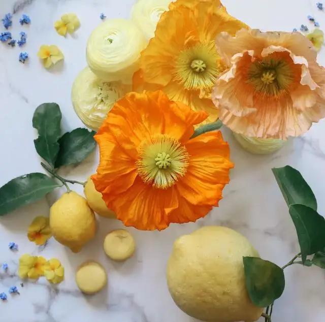 9平米花店,有4间铺面开花店怎样设计