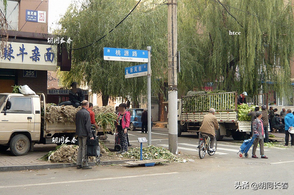 好男不娶桃源路什么意思,好男不娶桃源路好女不嫁八里堡