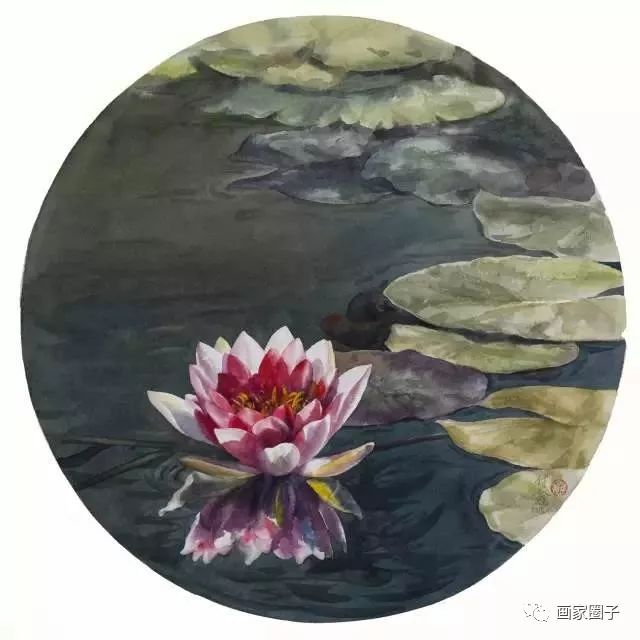 100种漂亮花卉图片,100张漂亮花图
