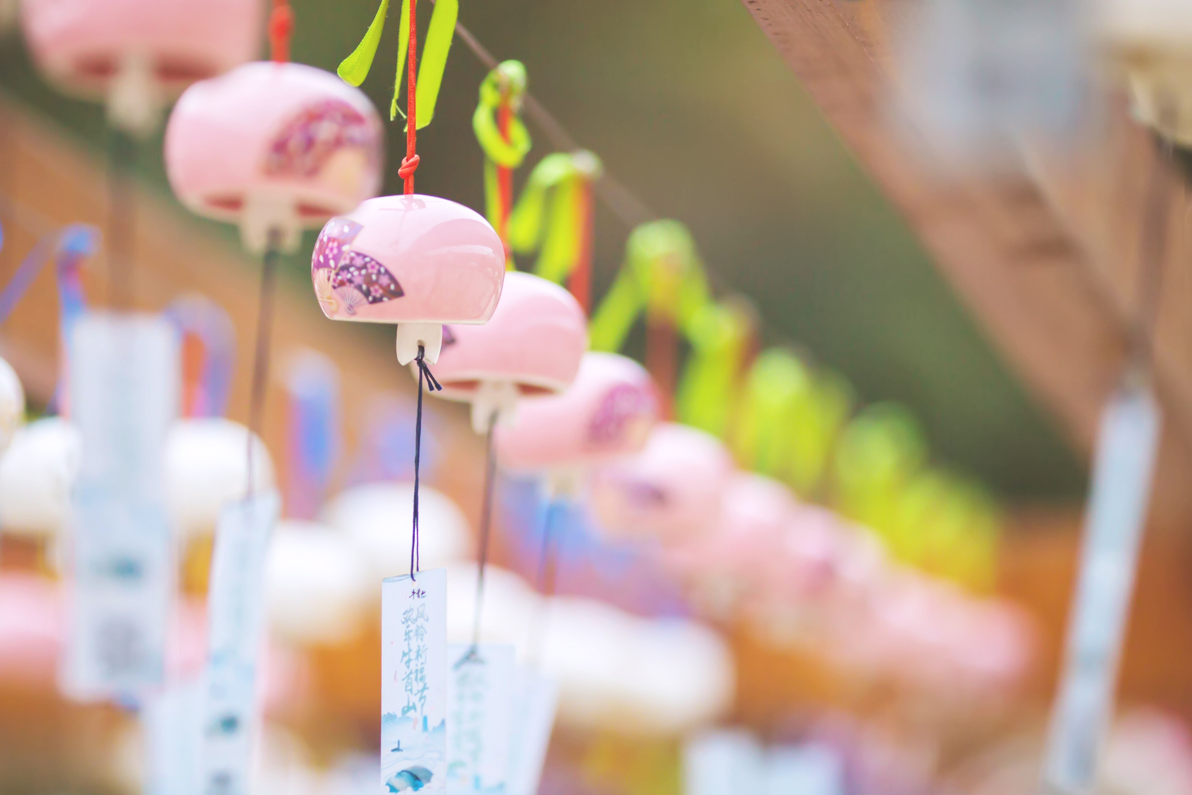 释迦牟尼舍利子头盖骨,释迦牟尼的真身头盖骨