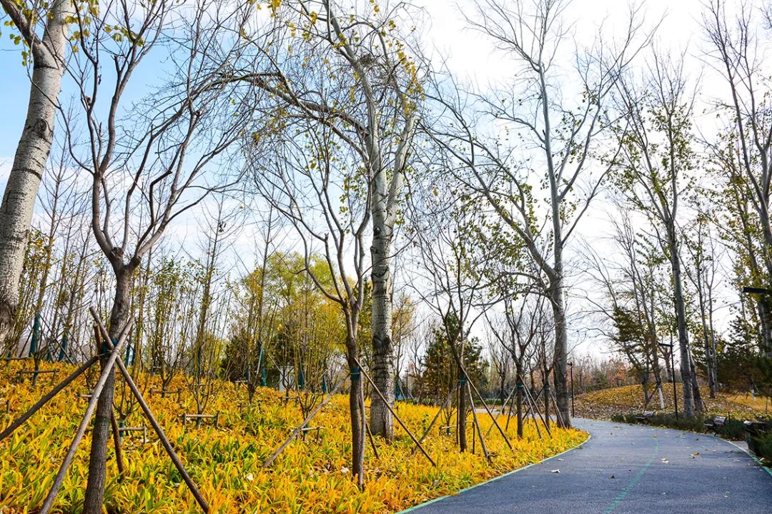 北京新开40个公园在哪里,北京十佳公园