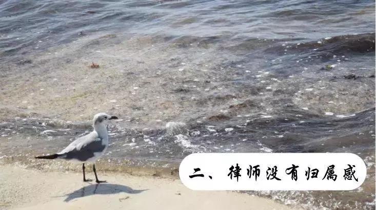 为什么律师不接官司,为什么律师不接案件