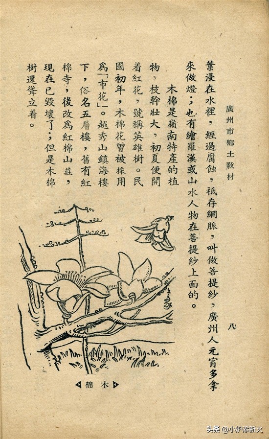 山河记忆：何荦临走，枪杀五教员！（3）