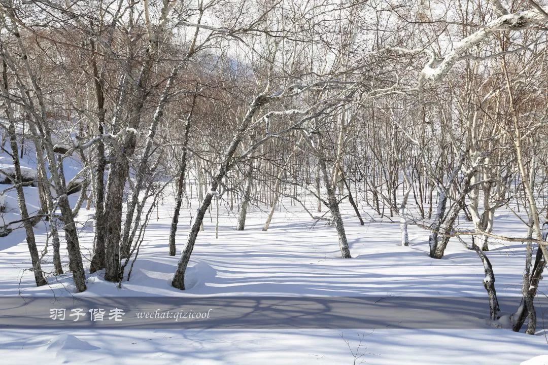 长白山滑雪最佳旅游时间,长白山天池漂流滑雪