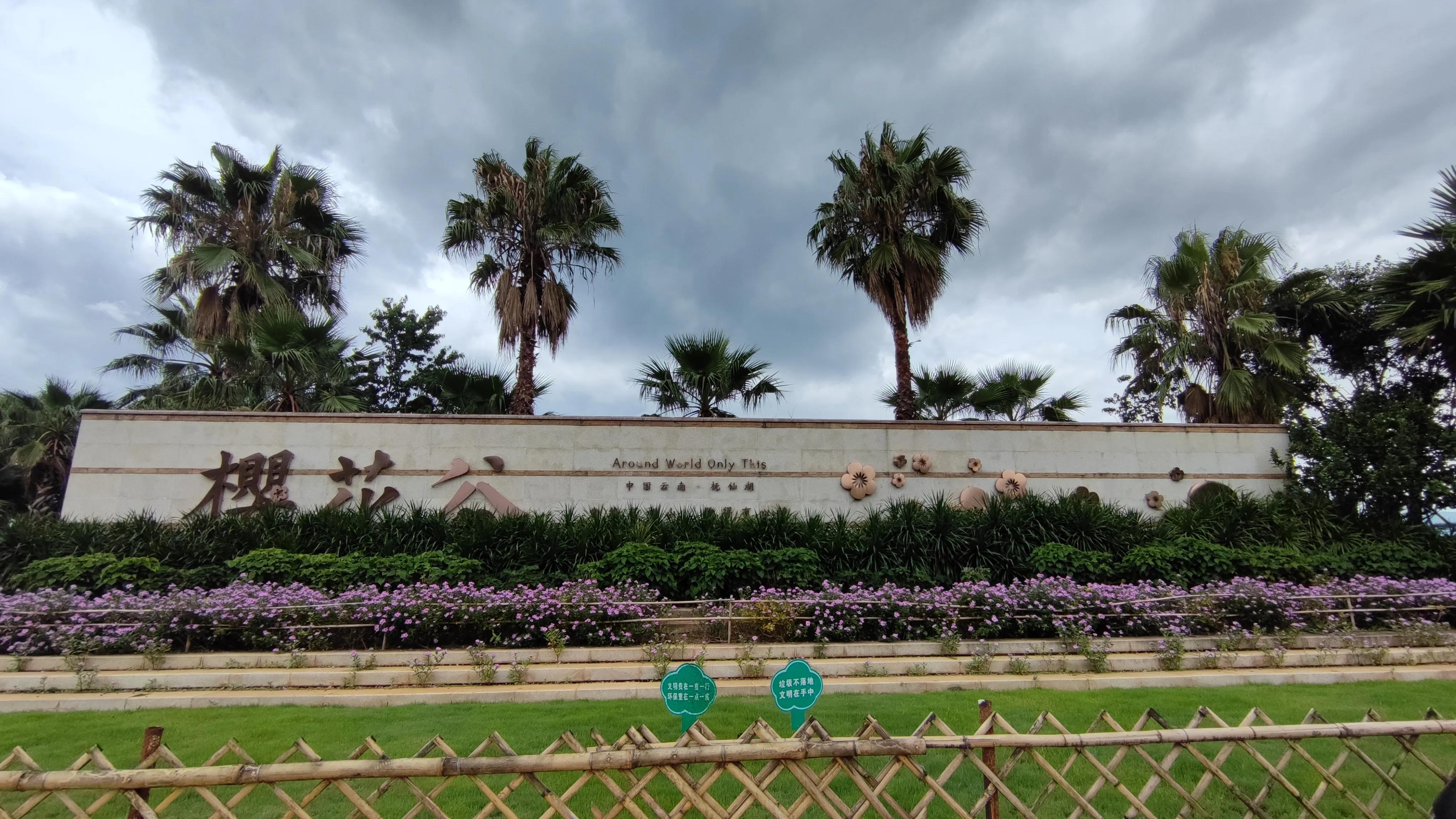 4月抚仙湖樱花谷,抚仙湖樱花谷水下古城