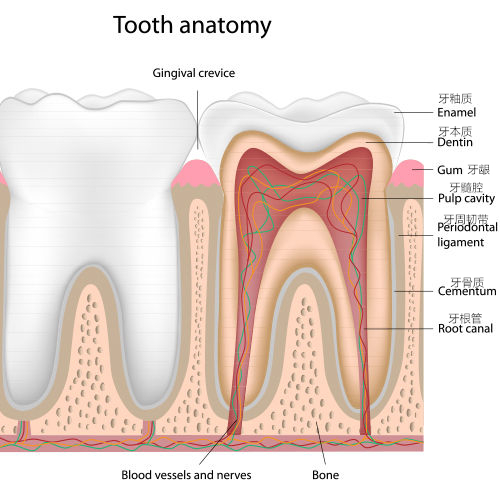 5岁10个龋齿,5岁孩子6颗龋齿