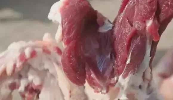 策划案例：好产品卖出高价值？助内蒙古苏尼特羊肉卖出中国最贵羊