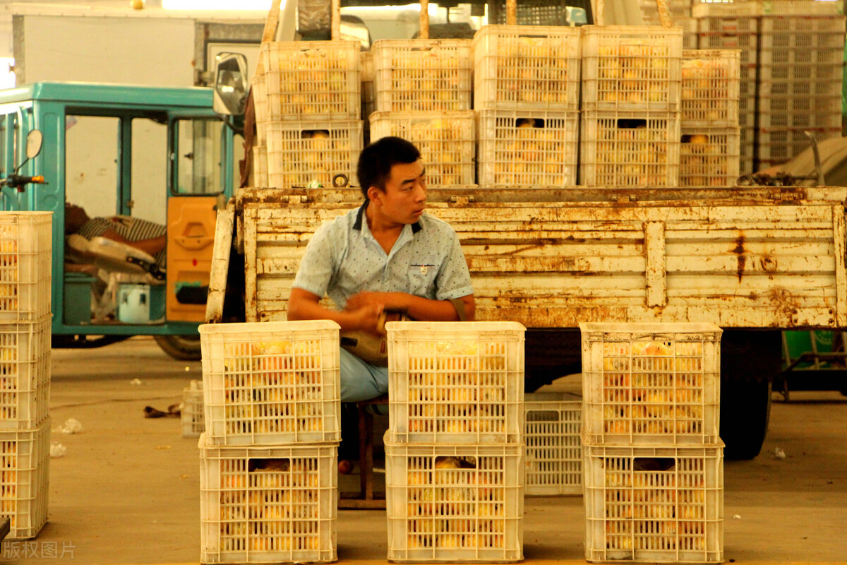 开店如何进货,开店怎么进货国货