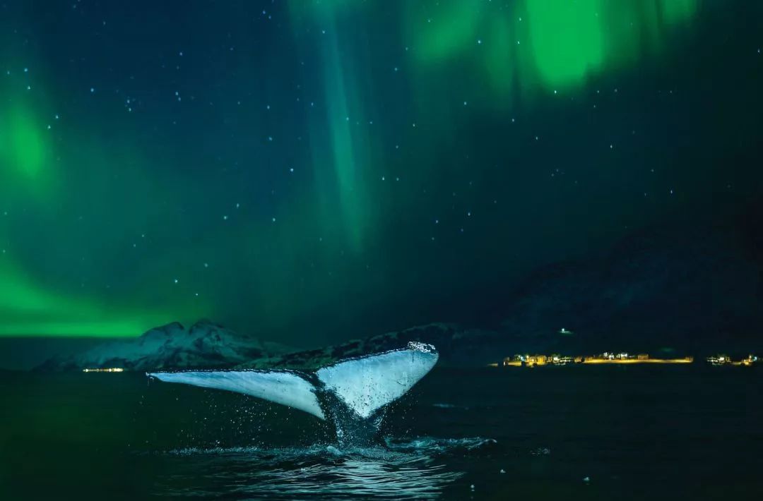 极光在等你,极光为你而来