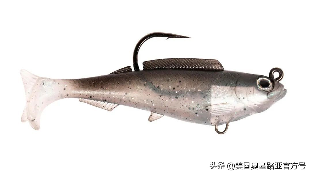 2024全国渔具展会一览表最新,2022年全国渔具展在哪