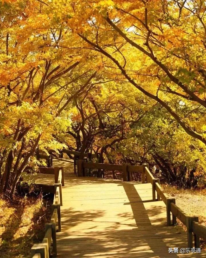 乐亭最美的地方,乐亭县古镇