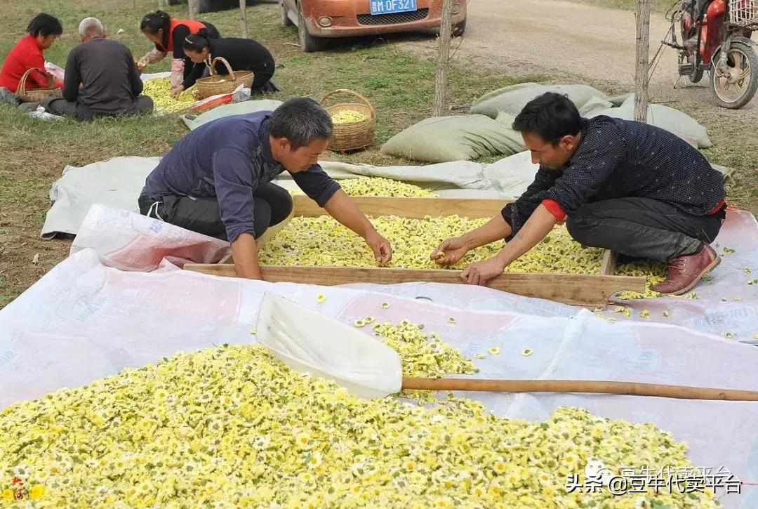 水果代办赚差价,水果贵有贵的道理