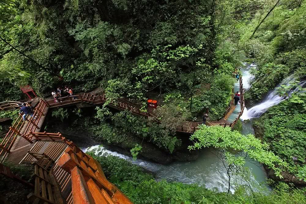 森林日重庆黑山谷,国际森林日自由森呼吸