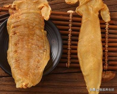 鱼胶知识书籍,鱼胶的知识抖音视频