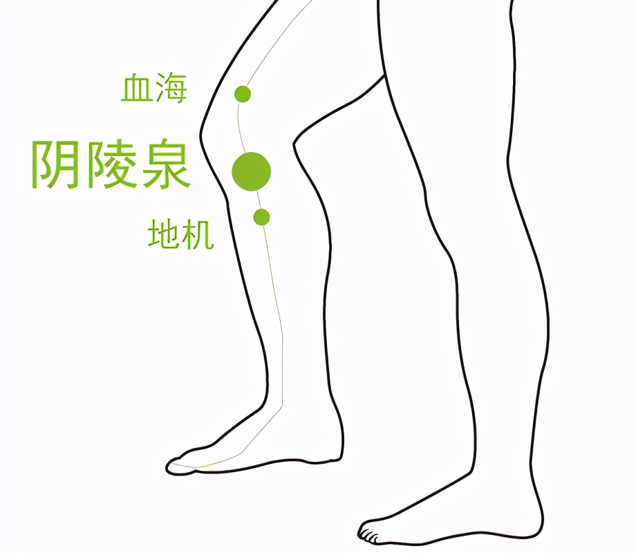 央视女主持人朱迅,艾灸朱迅