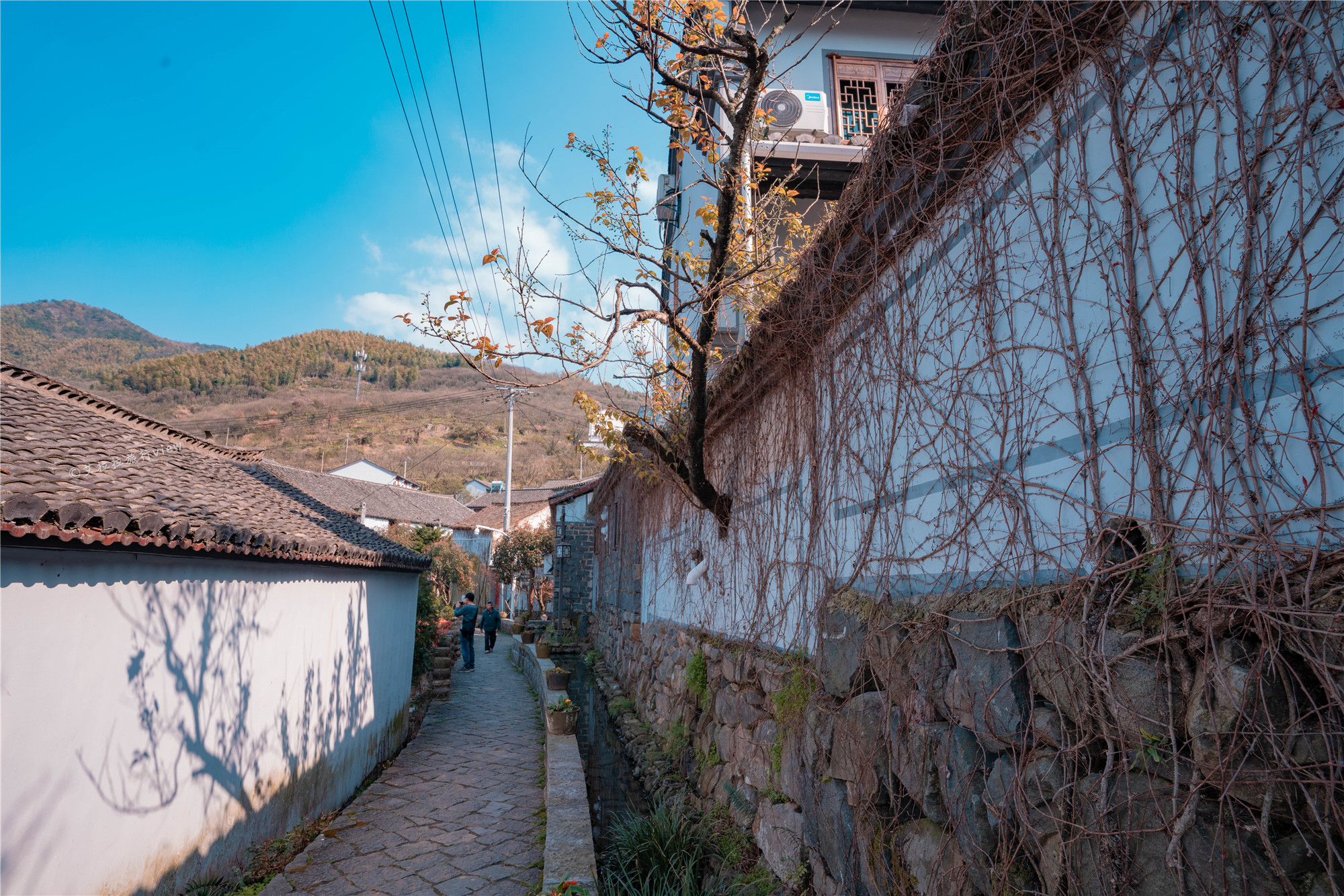 浙江深山隐藏村庄,浙江深山里的村庄