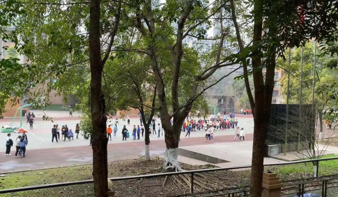 闄勮繎楂樻ゼ鐖嗙偢浜嬩欢,鍗楀潽鐏伨鍧犳ゼ