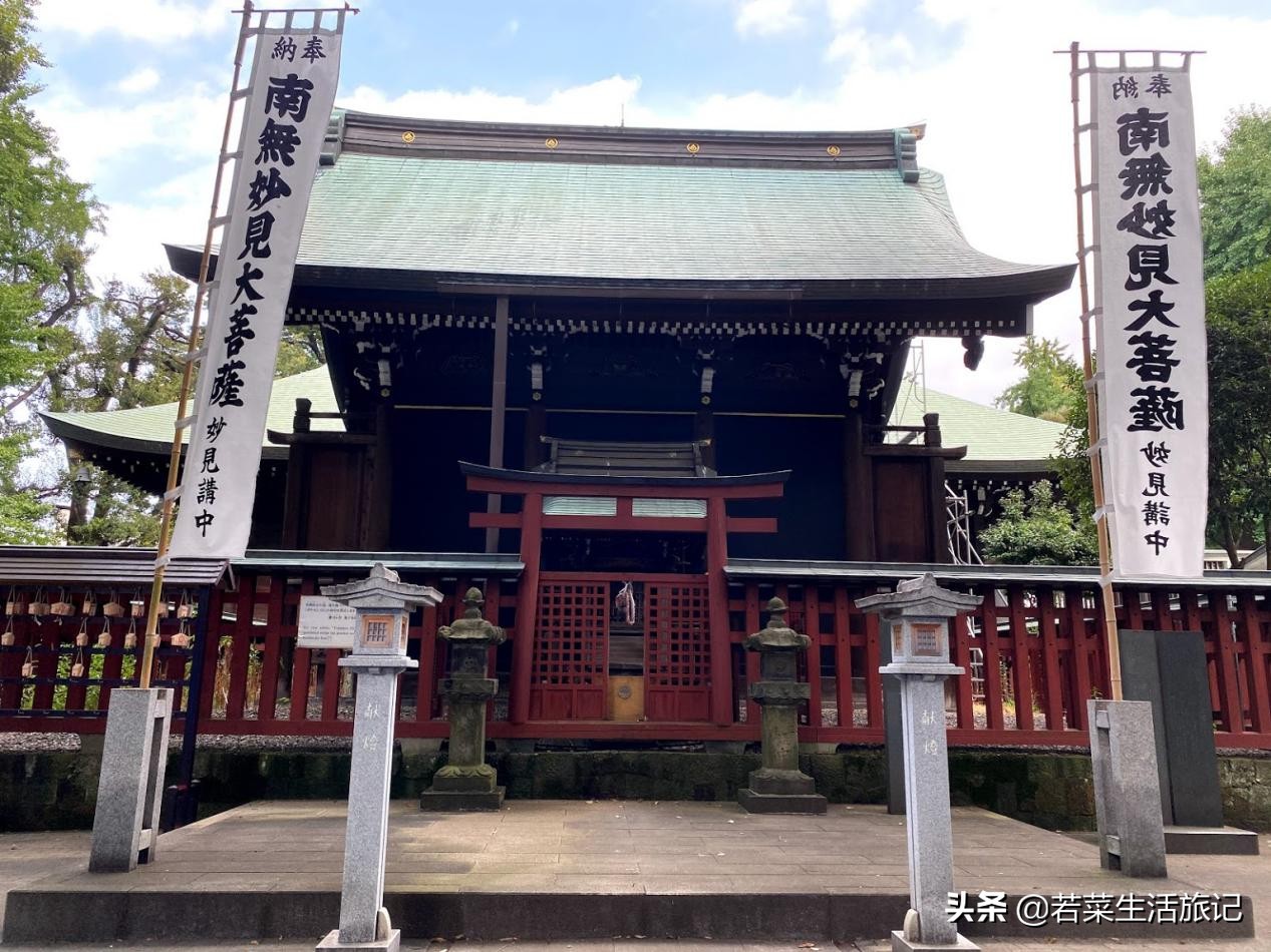 东京精灵宝可梦,东京附近必去的水族馆