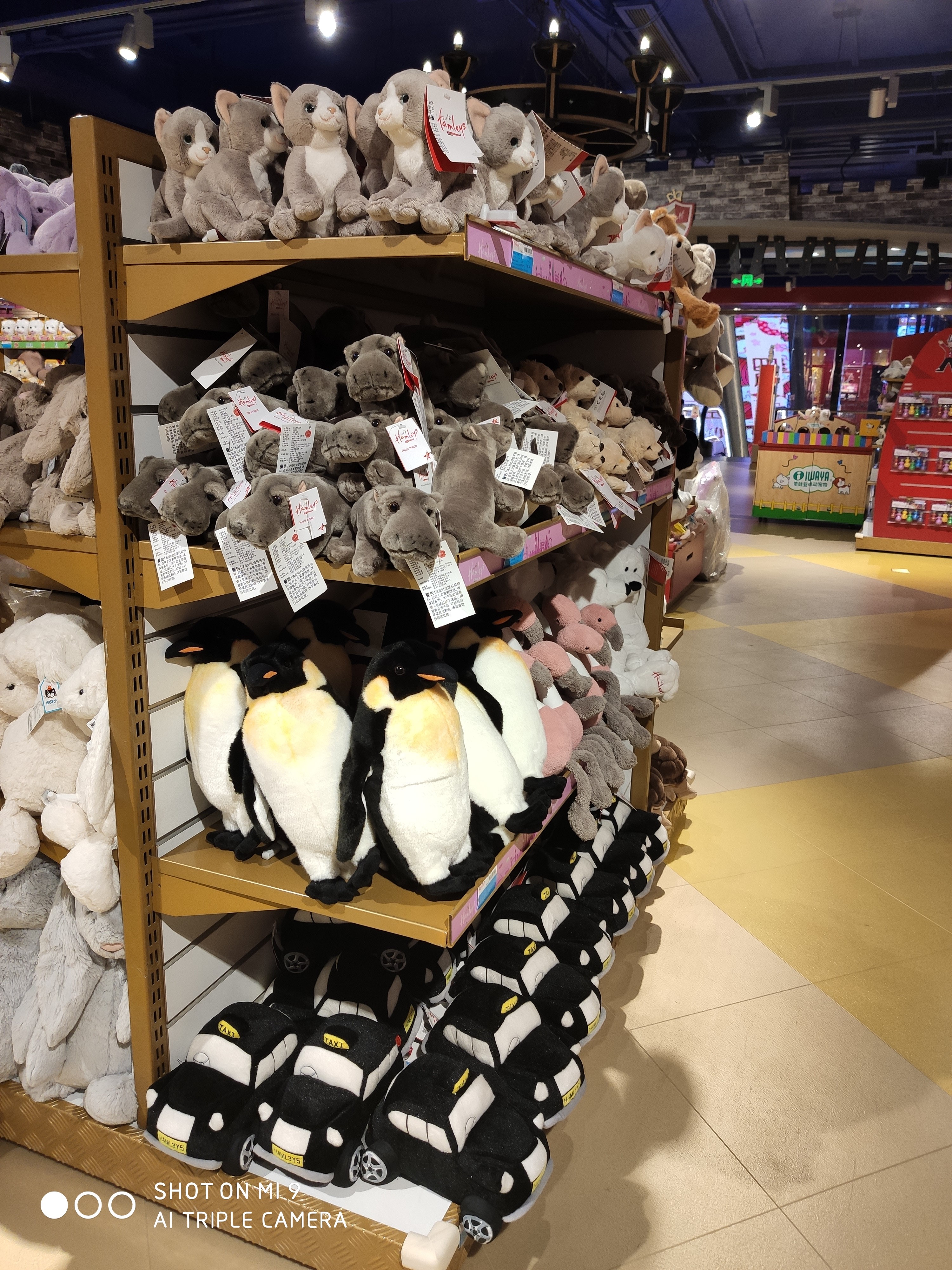 有哪些比较出名的玩具店,特别吸引小朋友的玩具