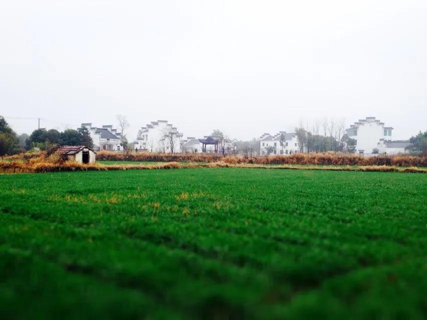 坐公交去旅行是什么体验,坐公交去旅行好吗