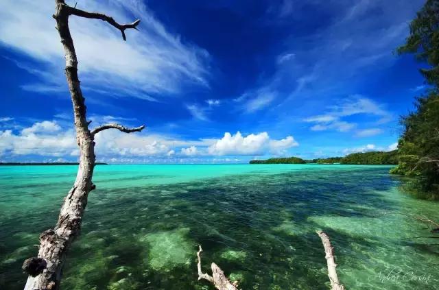 对帕劳之行的感悟,帕劳一场诗和远方的旅行