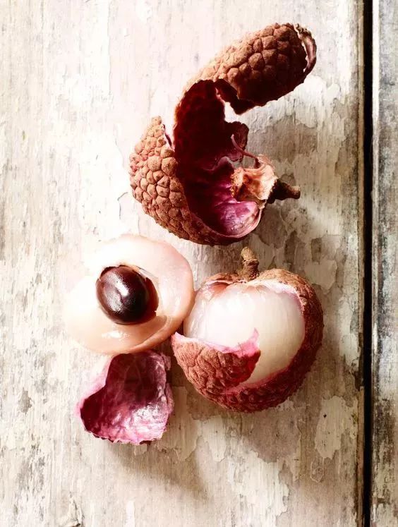 玉米棒子插水里，7天冒出小森林