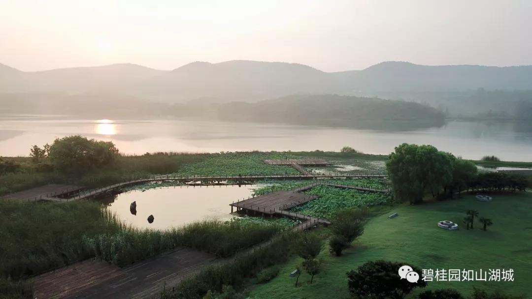 碧桂园体育公园武术大会,碧桂园文化艺术节