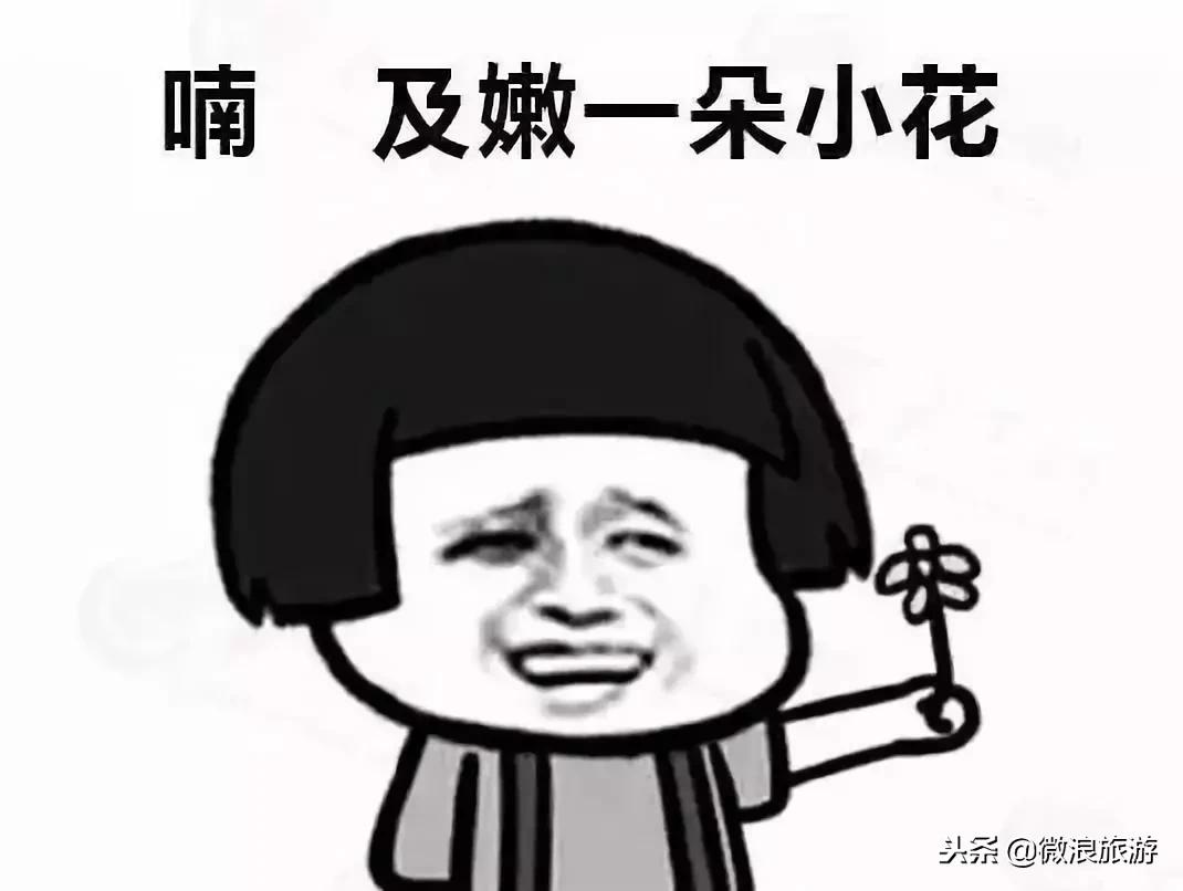 莒州话,莒县话听不懂