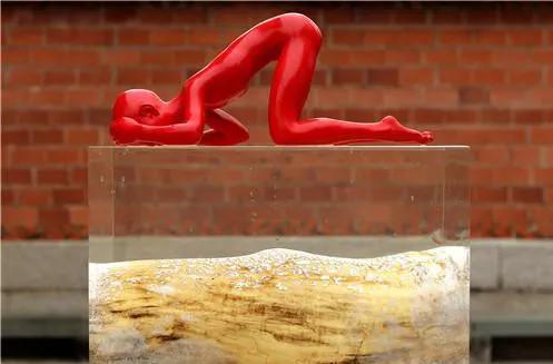 陈文令麦道夫最新信息 (陈文令对麦道夫的评价)