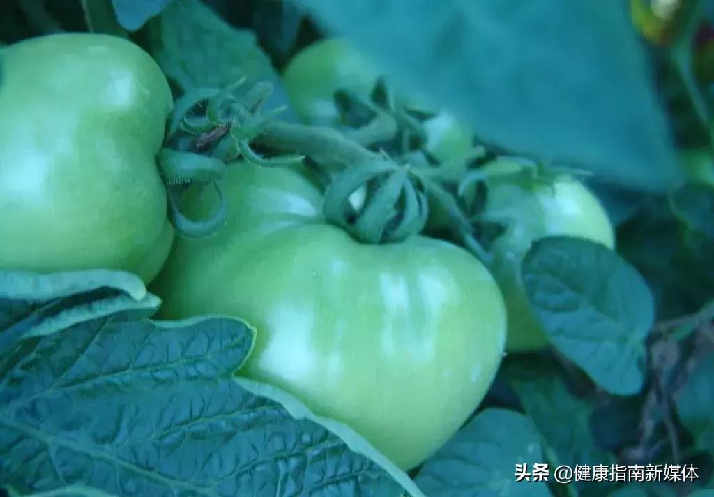 哪些蔬菜不能吃有营养,哪些蔬菜不宜食用