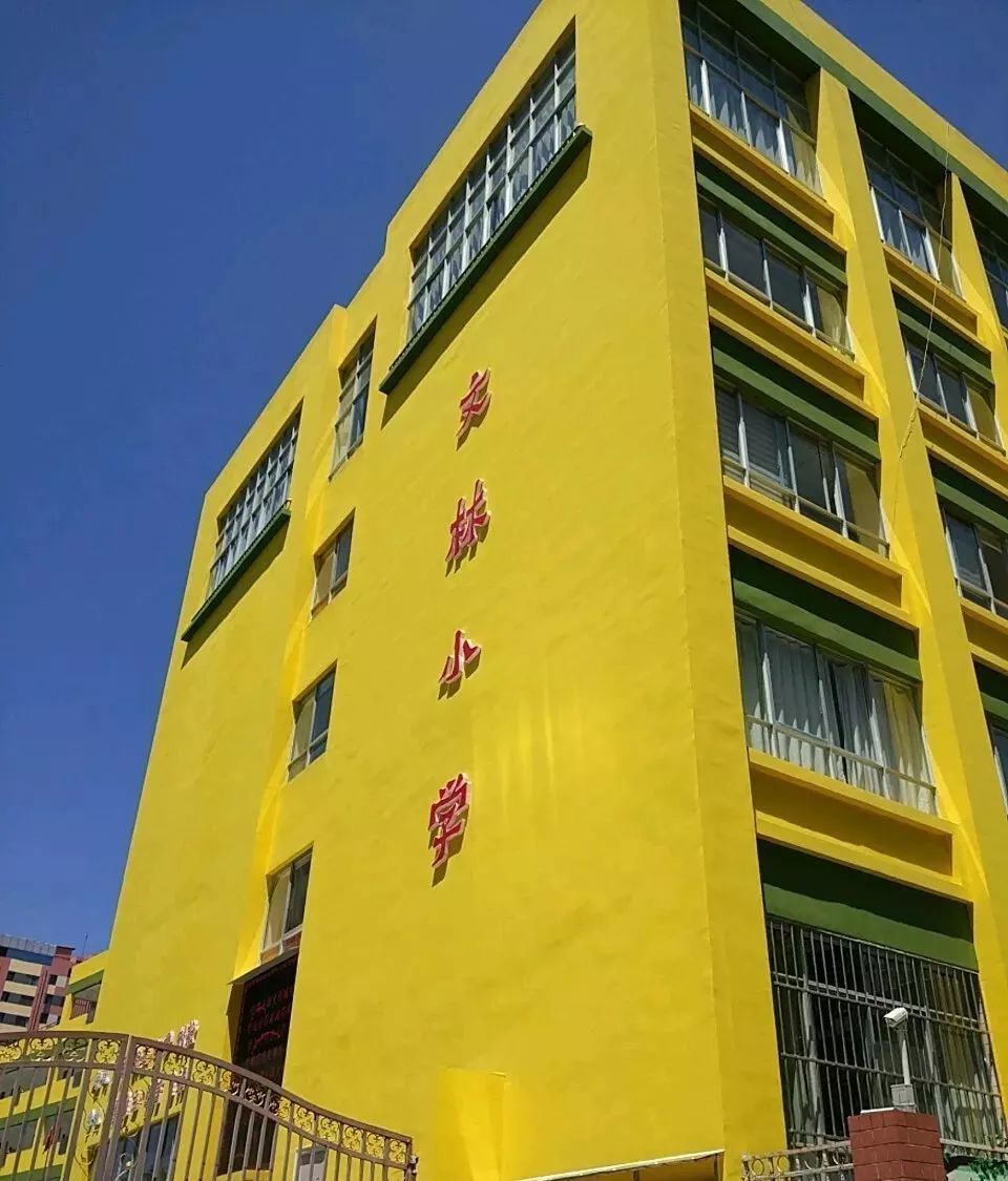 文林小学2007级,小学语文我为你骄傲