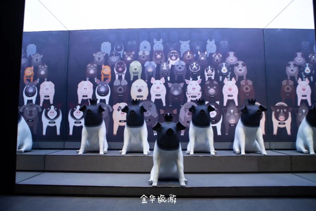 藏不住了!这个刷爆朋友圈的地方,竟然有100多个网红打卡点,手残*党**也能拍出大片!金华市区出发仅0.5h直达!