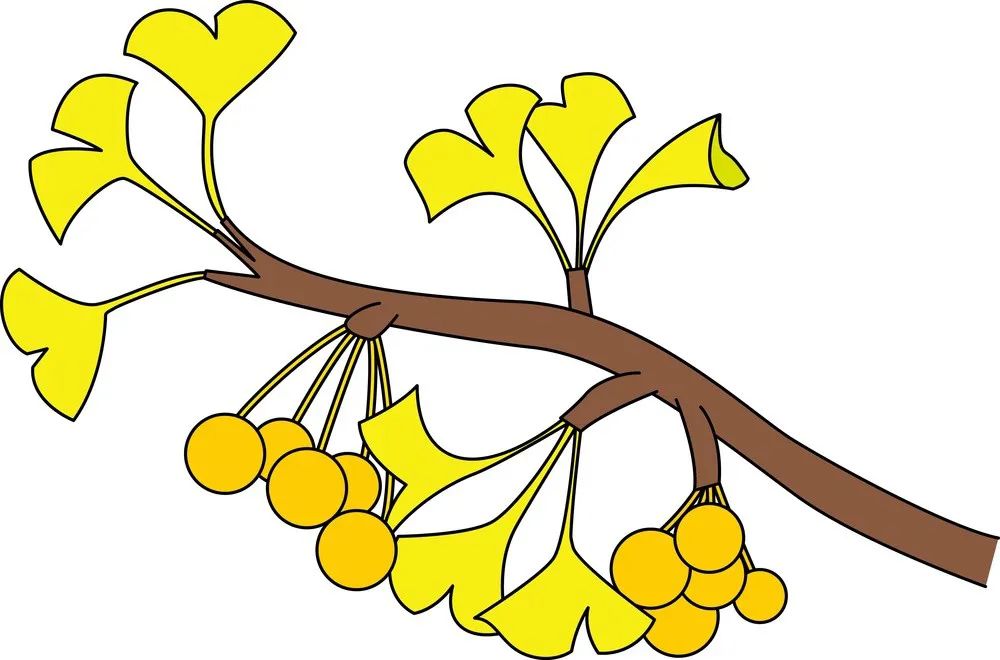 什么水果核毒性最强,常见水果吃不好也有危险