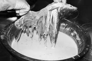 特色菜金毛狮子鱼,石家庄特色金毛狮子鱼