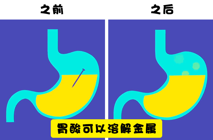 关于人体,大多数人还不知晓的15个事实