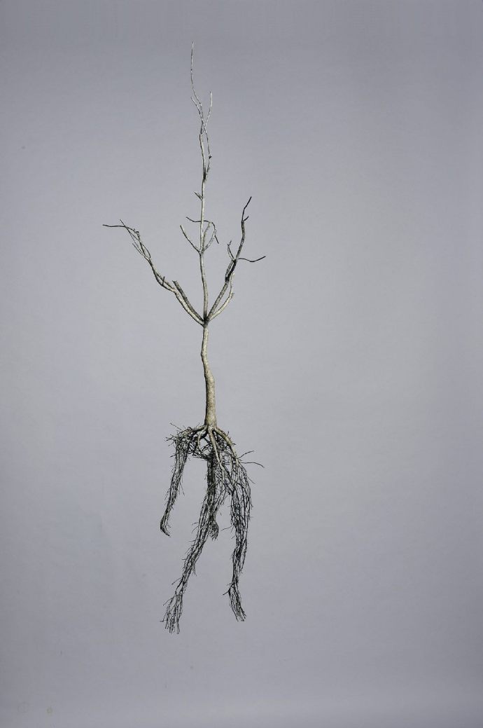 澶湁鎵嶄簡鍒涙剰鎵嬪伐,澶湁鎵嶄簡鍒涙剰鑹烘湳